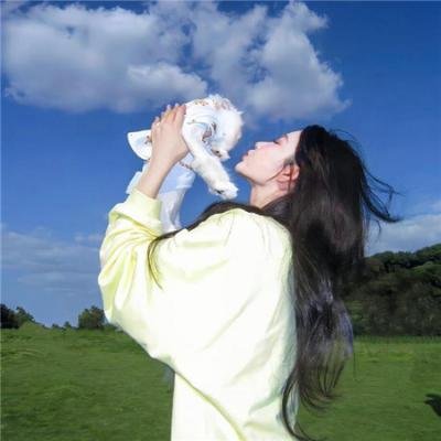 太阳后裔的保镖